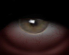 Real Eyes King Browm