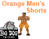 [BD] Orange Men's Shorts