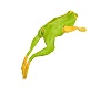 ANIMATED JUMPING FROG