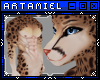 A* Taj | King Cheetah