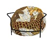 Gold Floral Beanbag/Gee