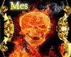 [Mes]Spirit of Fire