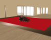 red & gold rug