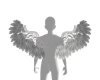 A/E Angel wing 2