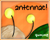 [Y] BeeMe: Antennae