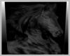 Dark Horse Oil Canvas V3
