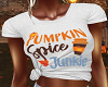 Pumpkin Spice