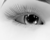 Beauty Eyes Beauty Eyes