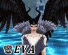 EVA Collar Dark M