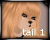 -CINN- Tail 1