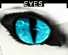 [M] Blue * Cats Eye