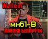 Wallem -MonikaBelluchchi