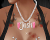 Josh Neckless