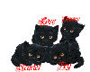 ~SL~ 4 Kittens
