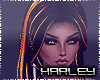 ! Fire Dragon Bundle RL