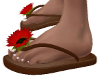 brown flip flops w/red