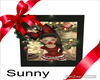 *SW* Christmas Pic