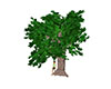 tree 9
