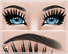 A| Cera Black Eyebrows