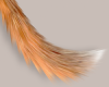 Red Fox Tail