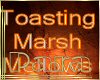 P9]Toasting MarshMellows