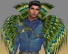 (7K)Peacock Feathers