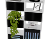 Bling Shelf