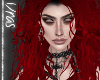 ~NV~ Tamera T.22