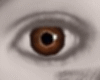 [L] Eyes Brown Chocolate