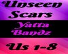 Unseen Scars