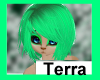 LC-Tarra Hair 1