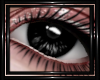 !T! Eyes | Nocturne B