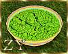 ZY: Holi Green Gulaal
