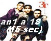 3T Anything