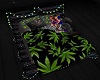 Weed Pallet Bed w  Light