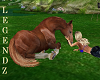 Fox/Sweet Ole Horse