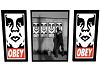 Obey pic