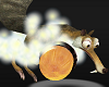 Fun Fart Actions