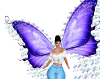 VICTORIA BUTTERFLY ANIMA