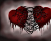 Entangled hearts