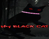 MY BLACK CAT PET