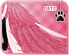 [Pets] Vimi | tail v1