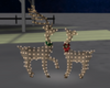 Reindeer With Lights