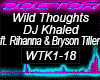 Wild Thoughts, DJ Khaled