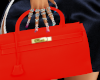 Red Birkin