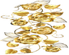 GOLD ROSES BORDERS -2