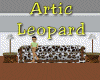 ~Oo Artic Leopard Couch