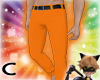 (C) Orange Salsa H Pants