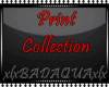 Print Skirt Collection