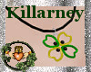 ~QI~ Killarney Necklace